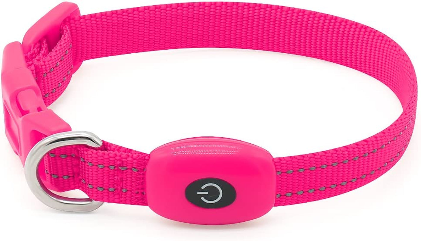LED Dog Collar Light - USB Rechargeable Glow in the Dark Puppy Collar, Light up Dog Collars for Small Dogs, Safety Dog Lights for Night Walking (Pink, XS)