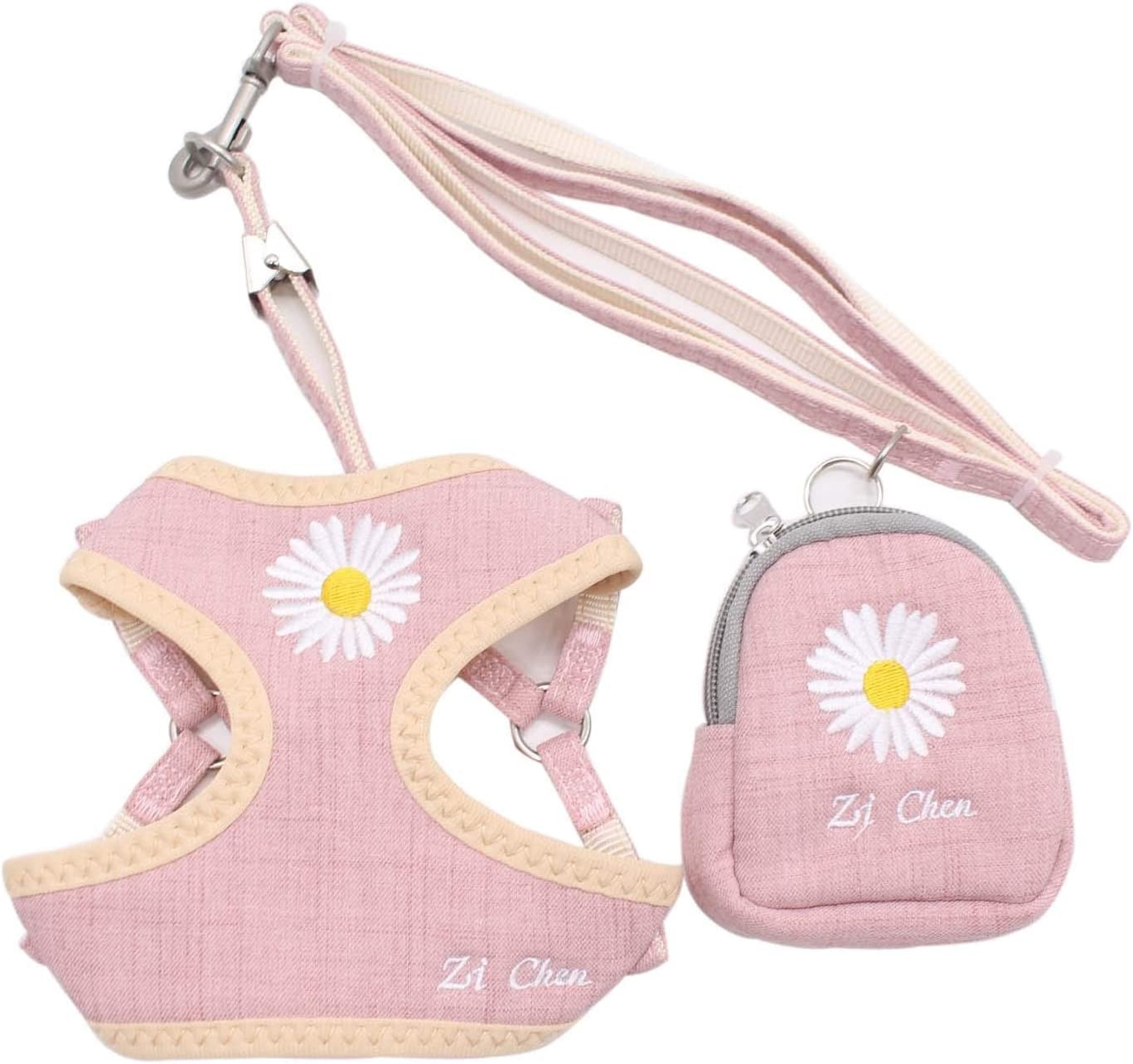 Pet Vest Harness with Leash for Puppy Dog and Cat,Matching Food Bag for Outdoor Walking or Hiking,Soft/Cosy Mesh for Small Dog Puppy Pets