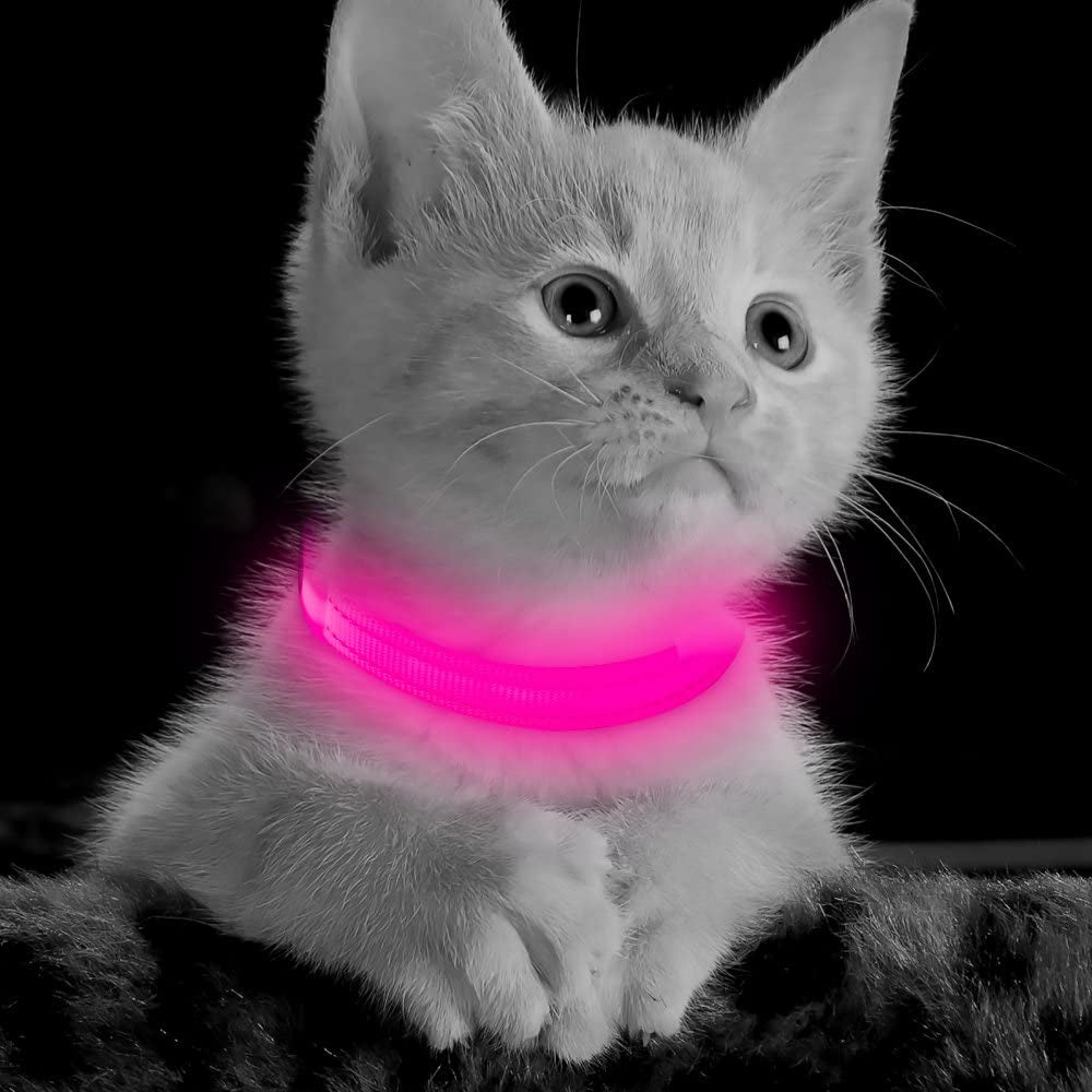 LED Dog Collar Light - USB Rechargeable Glow in the Dark Puppy Collar, Light up Dog Collars for Small Dogs, Safety Dog Lights for Night Walking (Pink, XS)