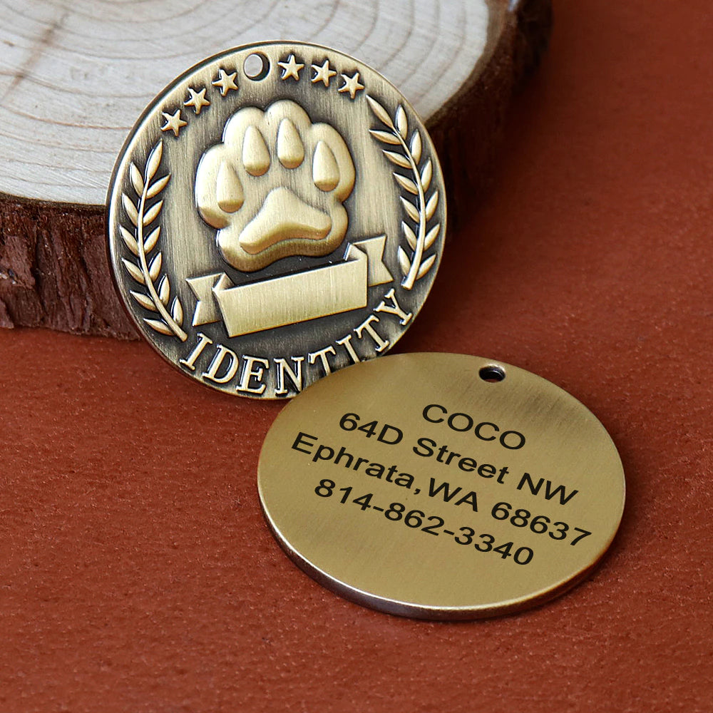 Customized Pet Dog ID Tag Free Engraving Dogs Cats Nameplate Pet Dog Collar Accessories Stainless Steel Pet Name Pendant