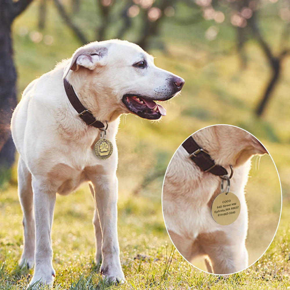Customized Pet Dog ID Tag Free Engraving Dogs Cats Nameplate Pet Dog Collar Accessories Stainless Steel Pet Name Pendant