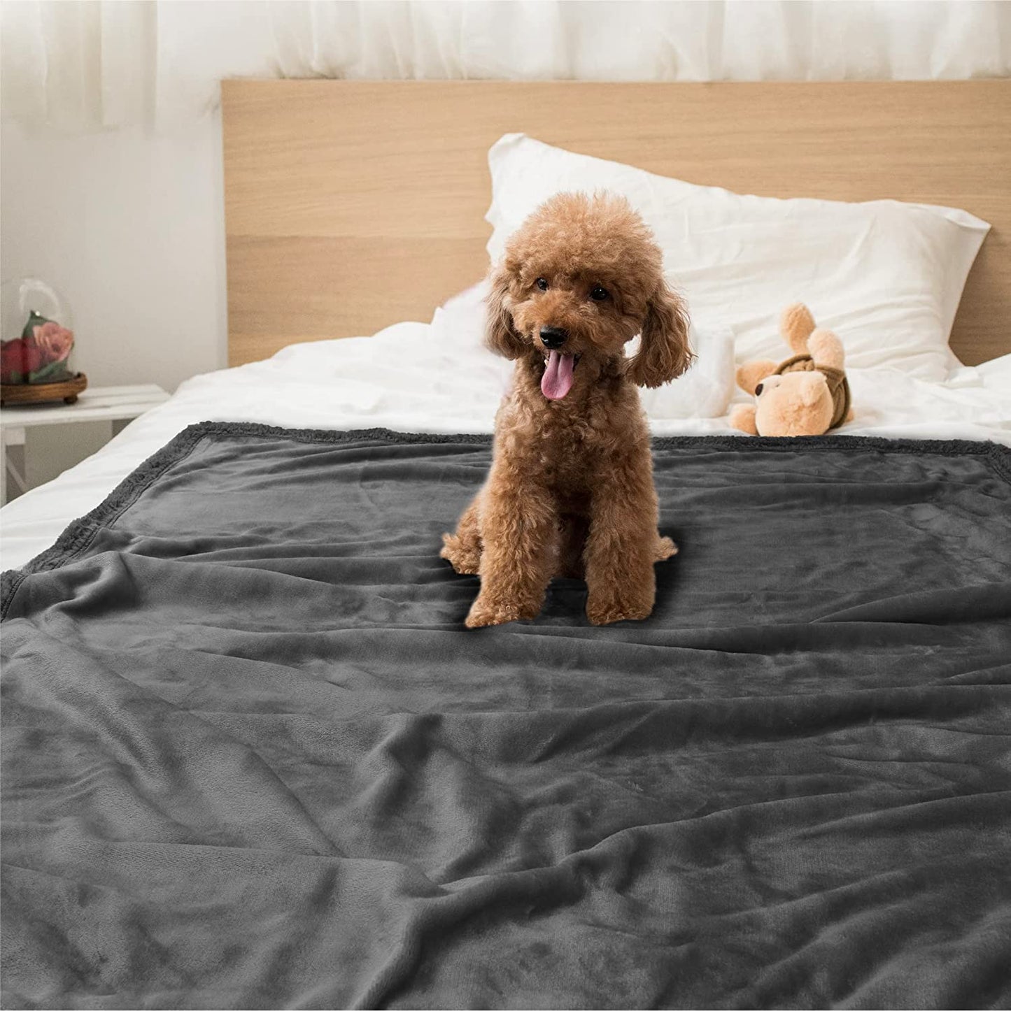 Dog Blanket for Small Medium Dogs, Pet Bed Blanket Cat Puppy Kitten, Fleece Furniture Couch Cover Protector Sofa Car, Soft Sherpa Dog Throw Plush Reversible Washable, Mini 29X40 Solid Dark Gray