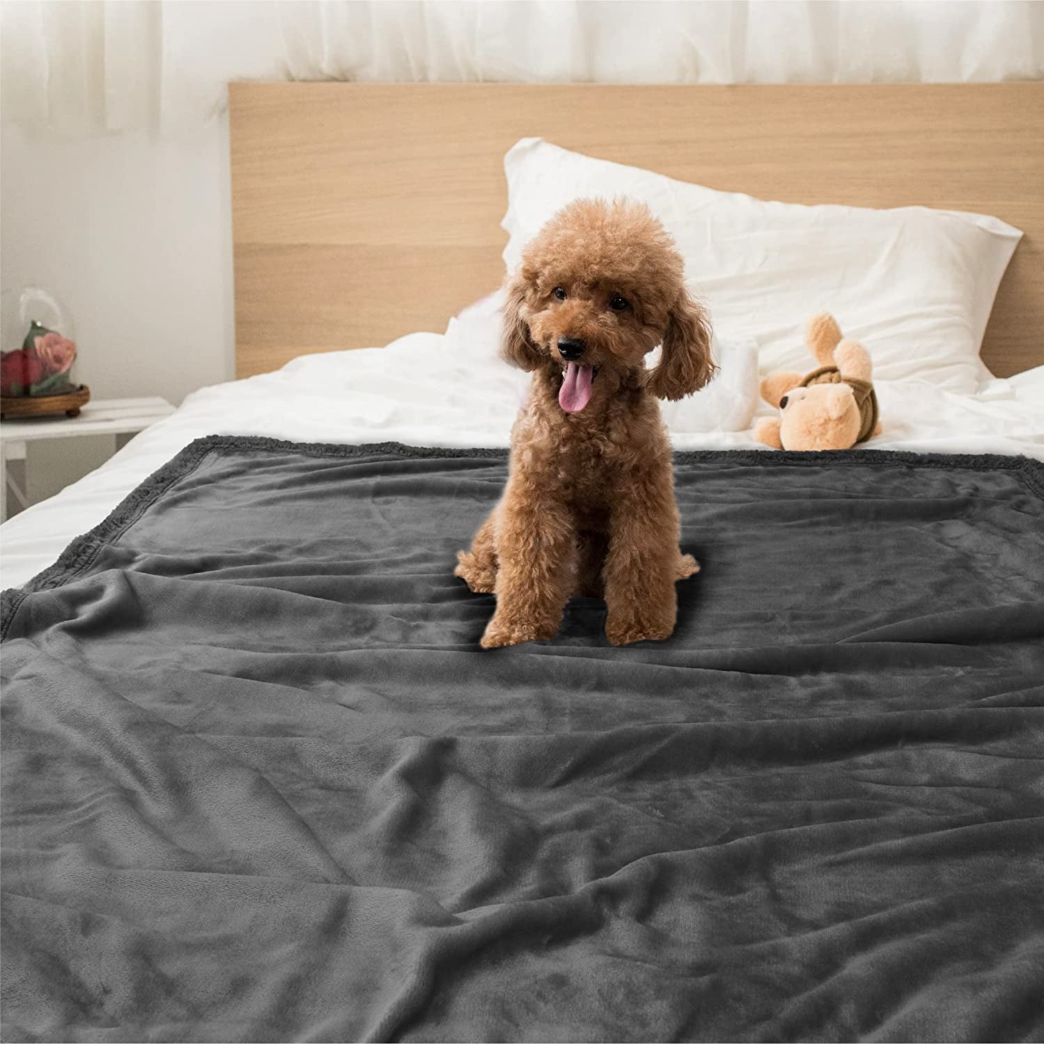 Dog Blanket for Small Medium Dogs, Pet Bed Blanket Cat Puppy Kitten, Fleece Furniture Couch Cover Protector Sofa Car, Soft Sherpa Dog Throw Plush Reversible Washable, Mini 29X40 Solid Dark Gray